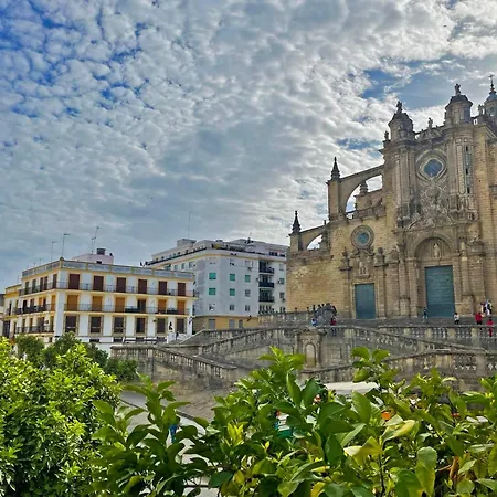La Catedral - Ole Solutions Jerez de la Frontera